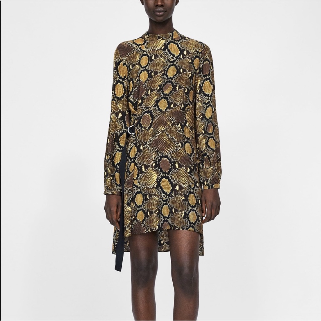 Women’s Zara Snake Print Dress